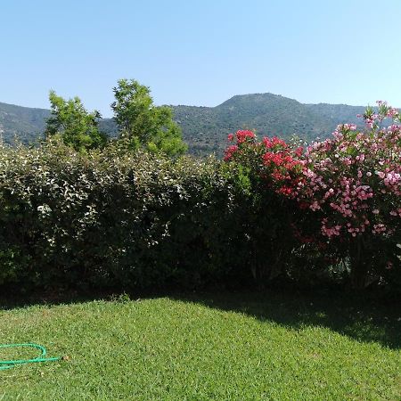 Ou Souleou Daire Bormes-les-Mimosas Dış mekan fotoğraf