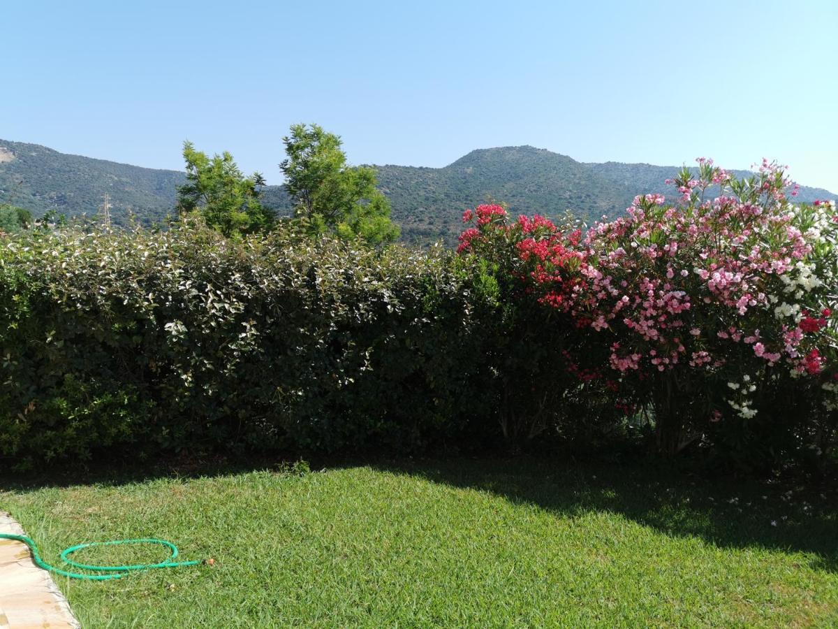 Ou Souleou Daire Bormes-les-Mimosas Dış mekan fotoğraf