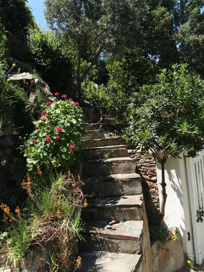 Ou Souleou Daire Bormes-les-Mimosas Dış mekan fotoğraf