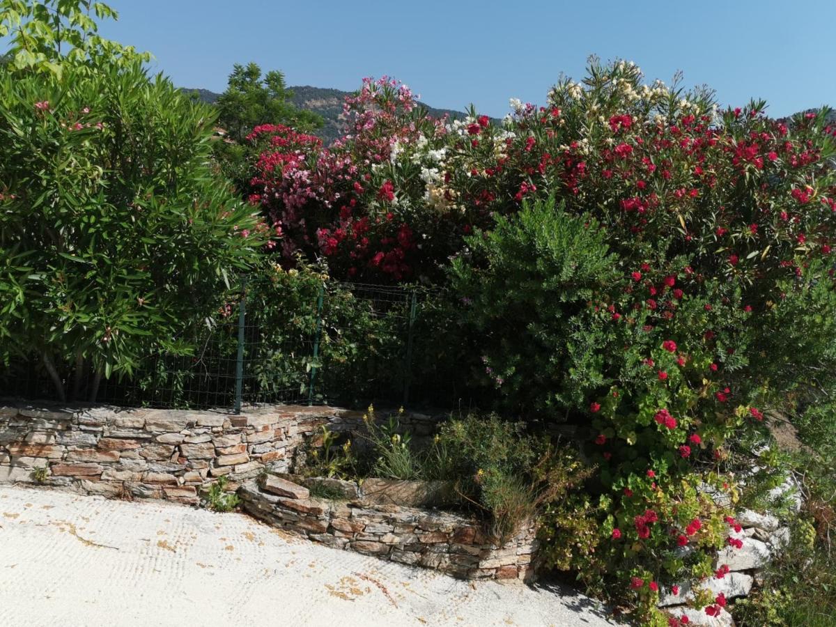 Ou Souleou Daire Bormes-les-Mimosas Dış mekan fotoğraf